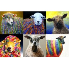 Card Pack Sheep 1