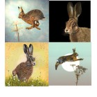 Hare Pack Coasters - Boastess